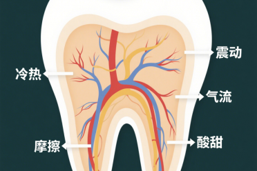 【牙齿敏感自救指南】一吃冷热就“酸爽”？快给牙齿穿件“防护服”！