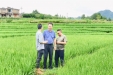 久久为功，有效衔接， 附属口腔医院将乡村振兴帮扶进行到底（三）——石田村巩固拓展脱贫攻坚成果同乡村振兴有效衔接工作纪实