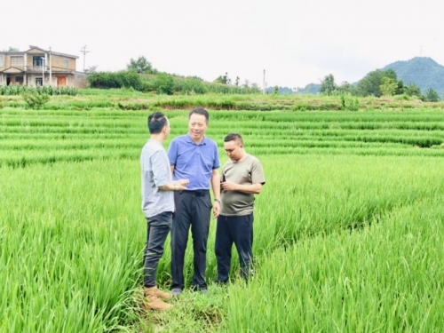 久久为功，有效衔接， 附属口腔医院将乡村振兴帮扶进行到底（三）——石田村巩固拓展脱贫攻坚成果同乡村振兴有效衔接工作纪实